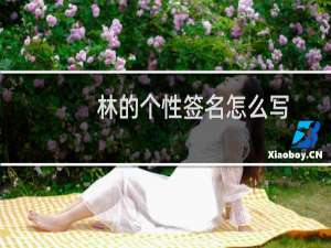 林的个性签名怎么写