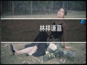 林祥谦墓(关于林祥谦墓的简介)