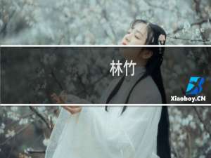 林竹(关于林竹的简介)