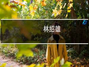 林绍雄(关于林绍雄的简介)