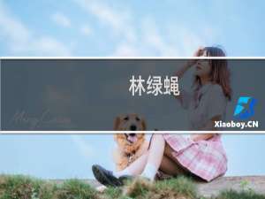 林绿蝇(关于林绿蝇的简介)