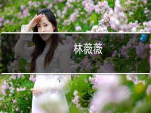 林薇薇(关于林薇薇的简介)