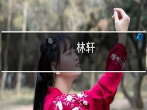 林轩(关于林轩的简介)
