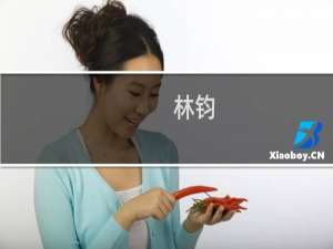 林钧(关于林钧的简介)