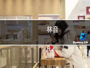 林音(关于林音的简介)