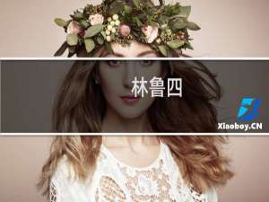 林鲁四(关于林鲁四的简介)