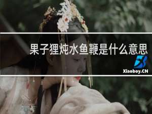 果子狸炖水鱼鞭是什么意思