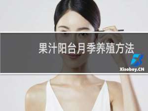 果汁阳台月季养殖方法