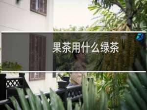 果茶用什么绿茶