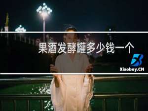 果酒发酵罐多少钱一个