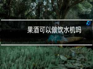 果酒可以做饮水机吗