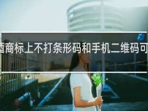 果酒商标上不打条形码和手机二维码可以销售吗