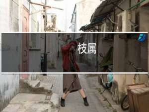 枝属(关于枝属的简介)