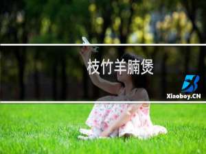 枝竹羊腩煲(关于枝竹羊腩煲的简介)