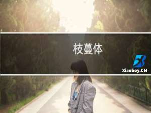 枝蔓体(关于枝蔓体的简介)