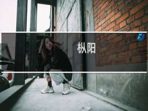 枞阳-安庆城际公交(关于枞阳-安庆城际公交的简介)