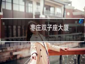 枣庄双子座大厦