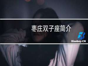 枣庄双子座简介