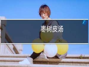 枣树皮汤(关于枣树皮汤的简介)