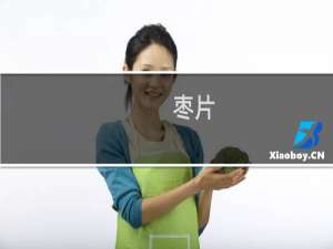 枣片(关于枣片的简介)