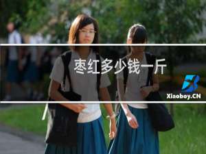 枣红多少钱一斤