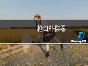 枪口补偿器(关于枪口补偿器的简介)