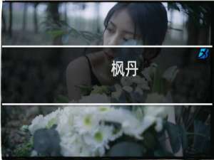 枫丹(关于枫丹的简介)