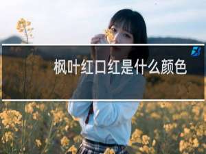 枫叶红口红是什么颜色