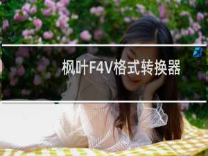 【枫叶F4V格式转换器】免费枫叶F4V格式转换器软件下载