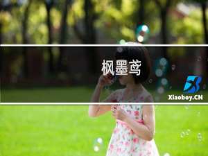 枫墨鸢(关于枫墨鸢的简介)