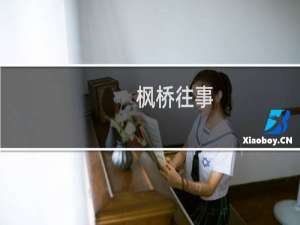 枫桥往事(关于枫桥往事的简介)