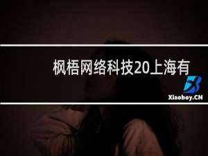 枫梧网络科技 上海有限公司(关于枫梧网络科技 上海有限公司的简介)