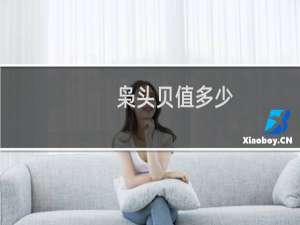 枭头贝值多少