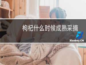 枸杞什么时候成熟采摘