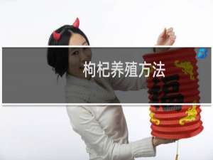 枸杞养殖方法