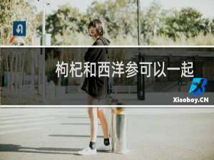 枸杞和西洋参可以一起泡着喝吗（枸杞和西洋参可以一起泡水喝吗）