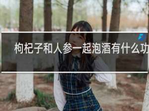 枸杞子和人参一起泡酒有什么功效