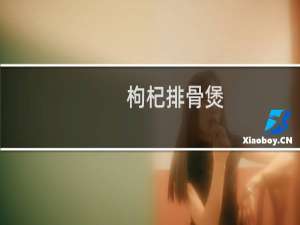 枸杞排骨煲(关于枸杞排骨煲的简介)