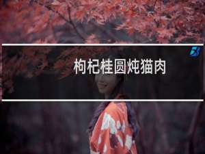 枸杞桂圆炖猫肉(关于枸杞桂圆炖猫肉的简介)