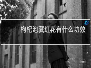 枸杞泡藏红花有什么功效