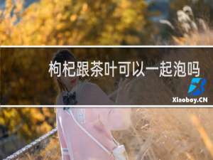 枸杞跟茶叶可以一起泡吗