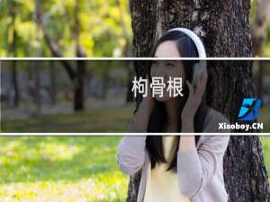 枸骨根(关于枸骨根的简介)