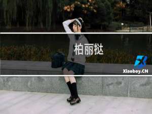 柏丽挞(关于柏丽挞的简介)