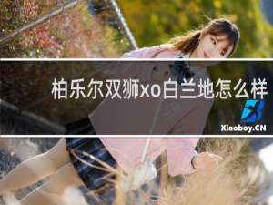 柏乐尔双狮xo白兰地怎么样