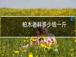 柏木老料多少钱一斤