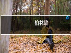 柏林墙(关于柏林墙的简介)