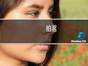 柏茗(关于柏茗的简介)