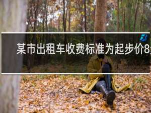 某市出租车收费标准为起步价8元