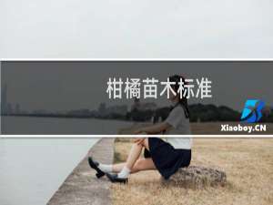 柑橘苗木标准
