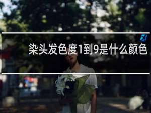 染头发色度1到9是什么颜色